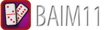 BAIM11